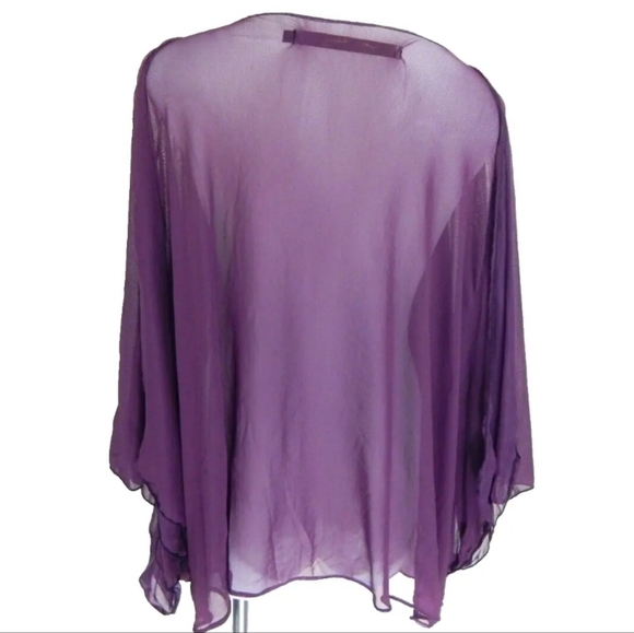 Cynthia Ashby Sheer Mesh Batwing Top - Picture 2 of 6